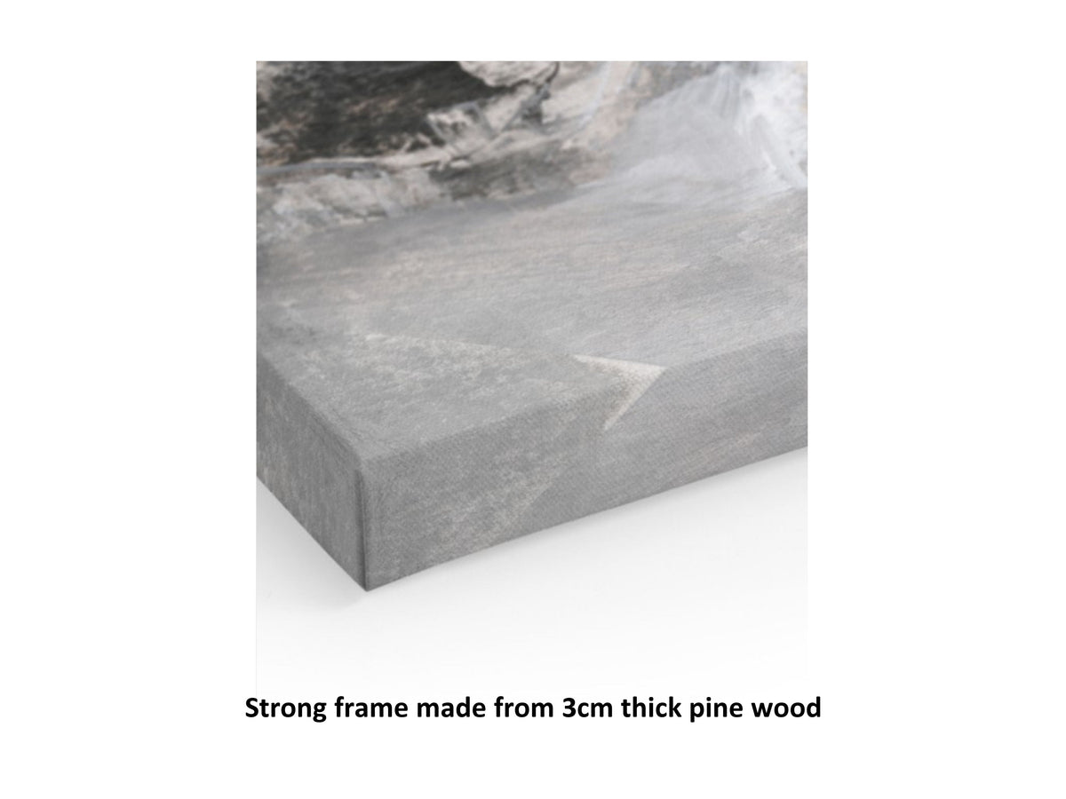 911 Evolution Canvas Print